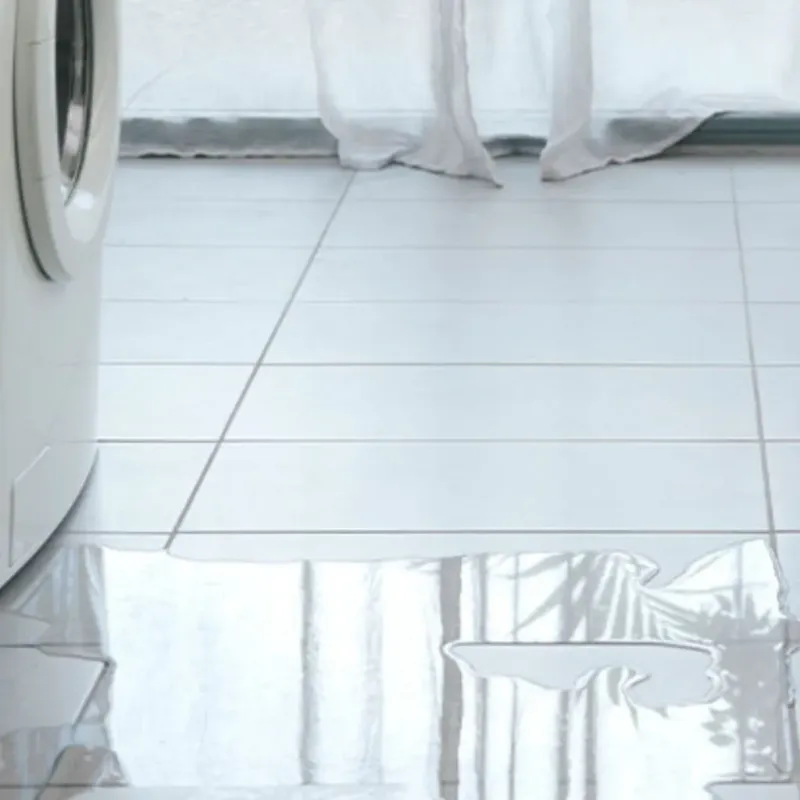 Appliance Leak Cleanup in Bolivar Peninsula, TX