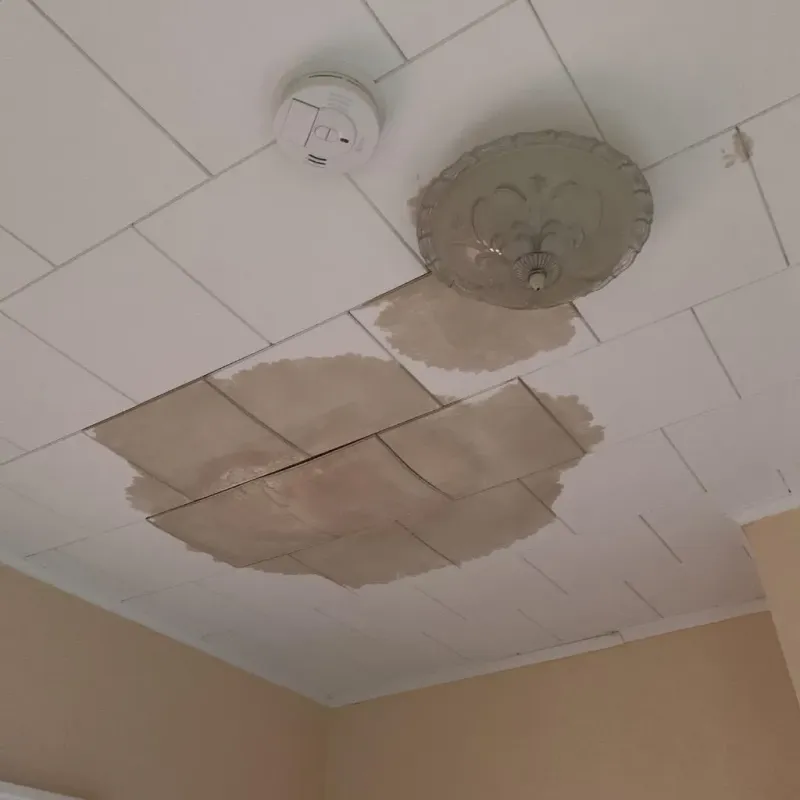 Ceiling Water Damage Repair in Bolivar Peninsula, TX