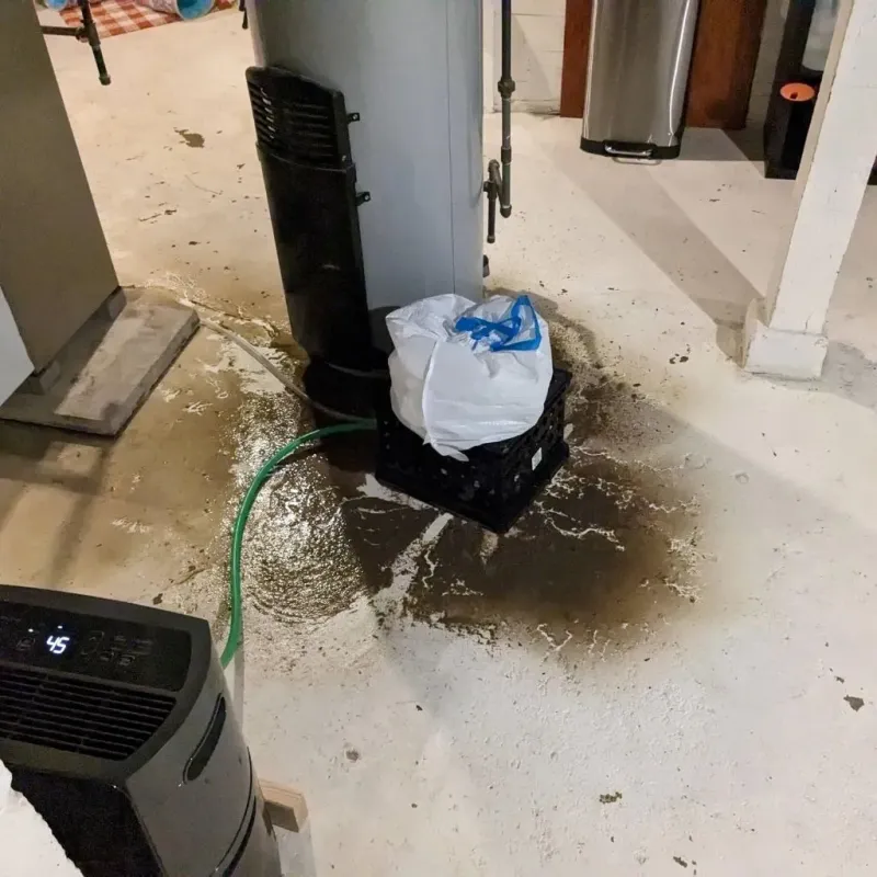 Sewage Backup Cleanup Service in Bolivar Peninsula, TX
